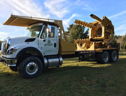 3 Things You Should Know About Large Tree Spades
