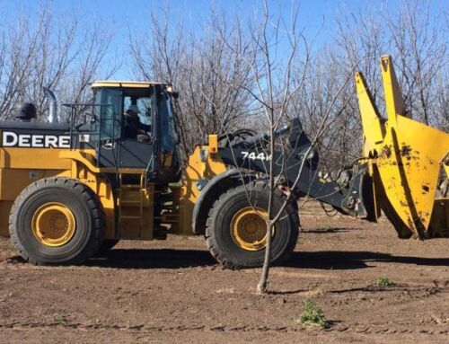 Revolutionizing Tree Moving with Loader-Mounted Spades