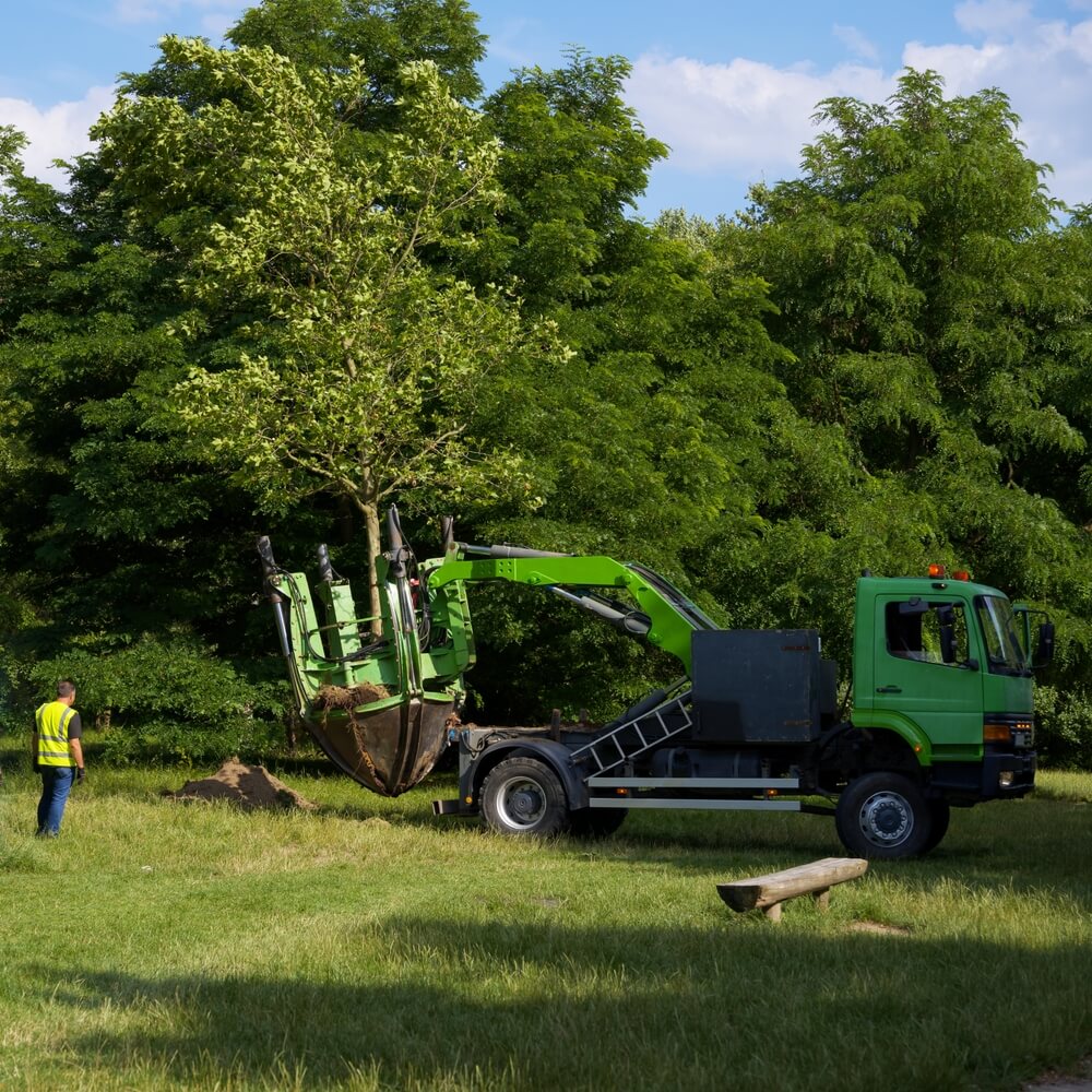 pod trailers for tree transplanting