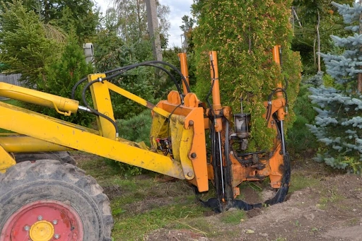 Accessories in Tree Moving process