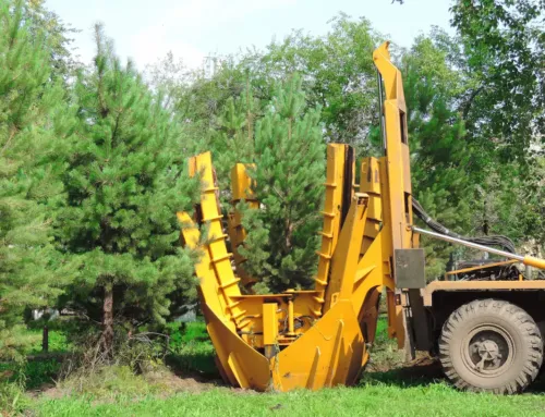 Choosing the Right Tree Moving Equipment: A Guide for Tree Nursery Farms